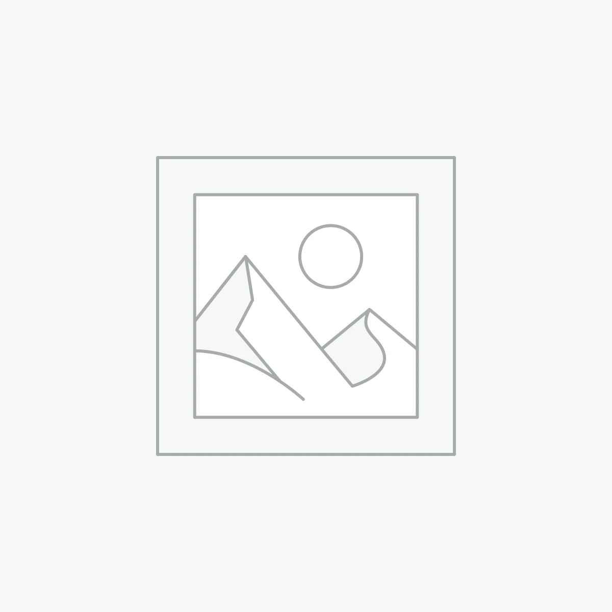 Microsoft Office 2024 Professional Plus